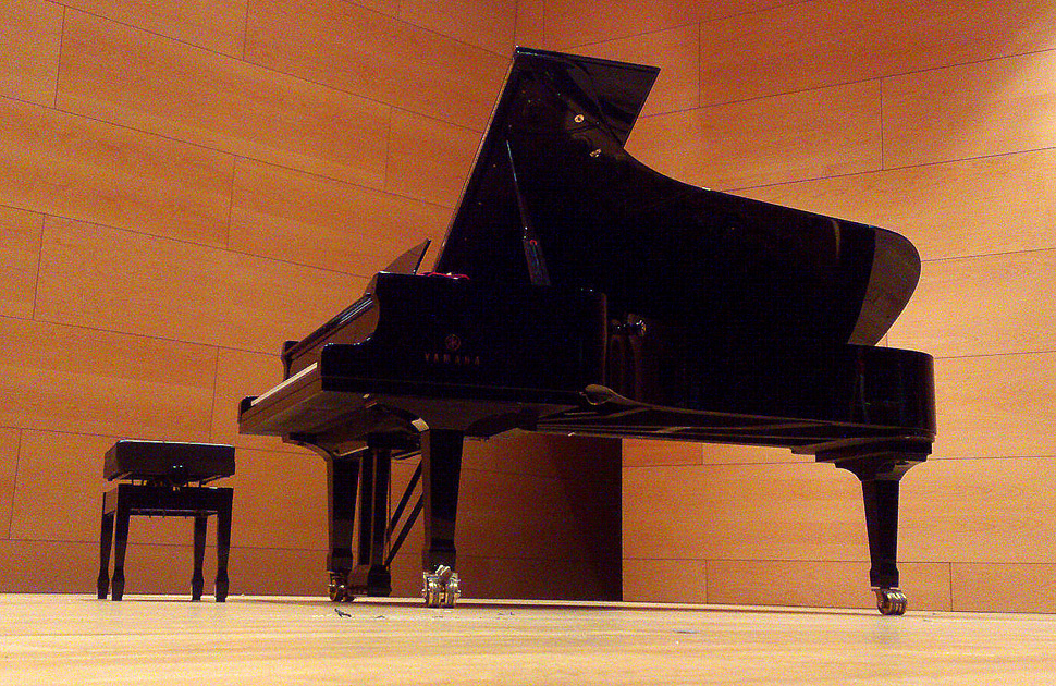 Afinador de pianos en el Auditori Can Roig i Torres de Santa Coloma de Gramenet (III).
