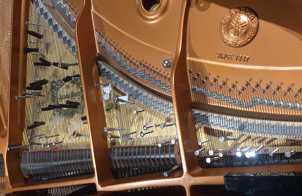 Afinador de pianos Piano preparado